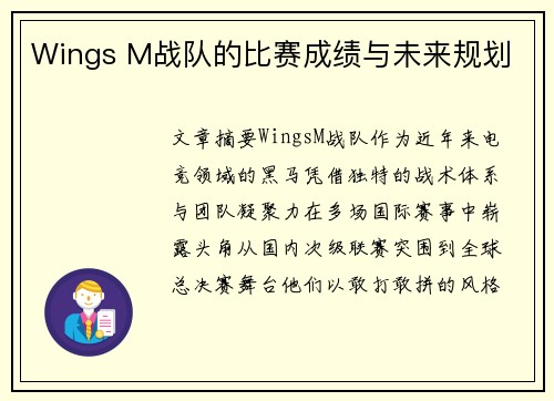 Wings M战队的比赛成绩与未来规划